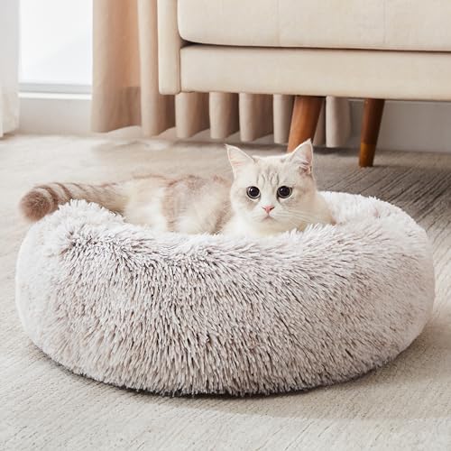 Western Home Calming Donut Cat Bed Small Dog Bed Washable (White Khaki / 20.0"l x 20.0"w x 6.0"th)