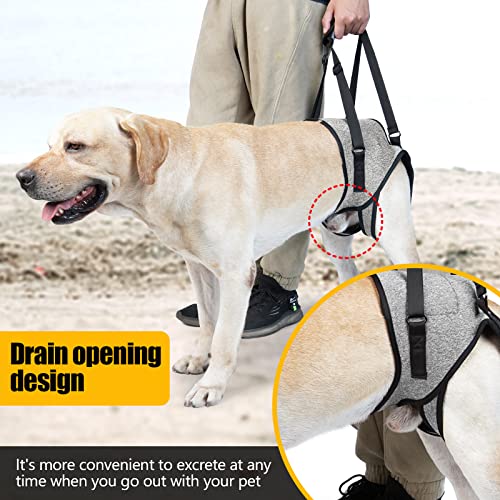 Dog Lift Harness for Dogs (X-Large / Grey)