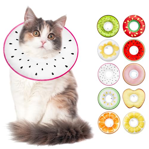 Cat Cone Collar Soft (Dragonfruit / Large)