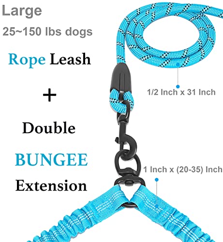 Double Dog Leash (Blue / Large)