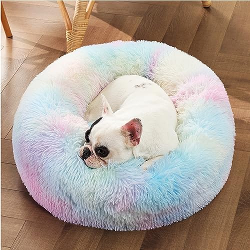 Calming Small Dog Bed Donut Washable Cat＆Puppy Bed (23"L x 23"W x 8"Th / Multi Color)