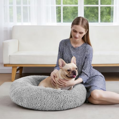Calming Cat Beds for Indoor Cats (XS(20’’x 20’’) / Grey)