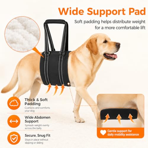 Adjustable Dog Sling for Large Dogs (X-Large)