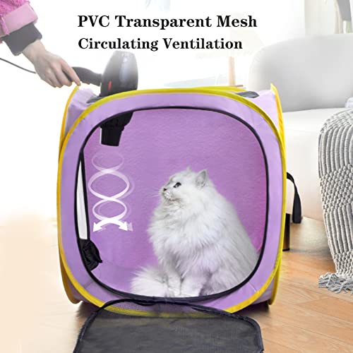 Pet Cat Dog Drying Box (Purple)