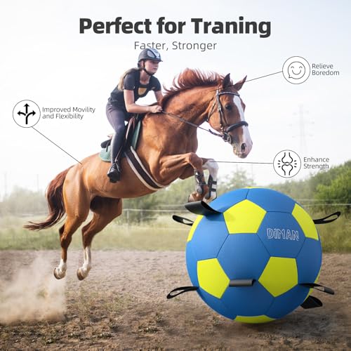 Herding Ball for Dogs with Straps (25 Inch / Blue Yellow)