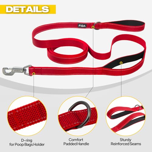 10 FT Heavy Duty Dog Leash (10 Feet (Pack of 1) / Red)