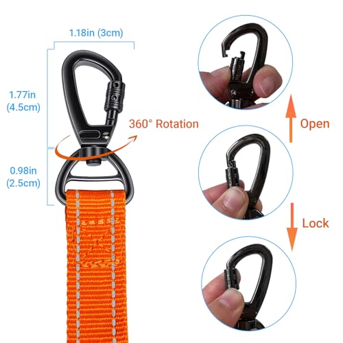 Dual Handle Bungee No (Orange)