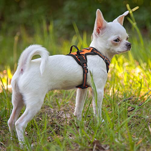 Dog Harness No Pull with 2 Leash Clips (X-Small / Orange)