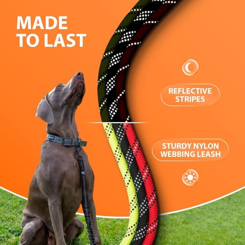 Heavy Duty Bungee Rope Leash (Green)