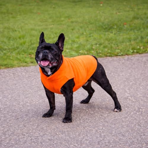 Dog Fleece Vest Sweater with Leash Ring (XL (17-25lbs) / Orange)