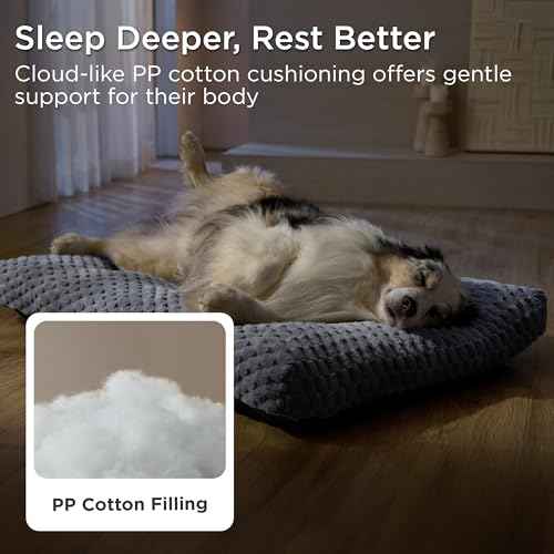 Small Washable Dog Bed for Crate (Beige / 23x17x3)