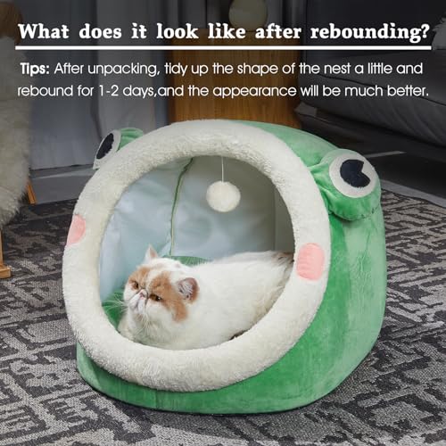 Cute Cat Bed Indoor Lovely Velvet Igloo for Cat and Small Dog (Large / Green Frog)