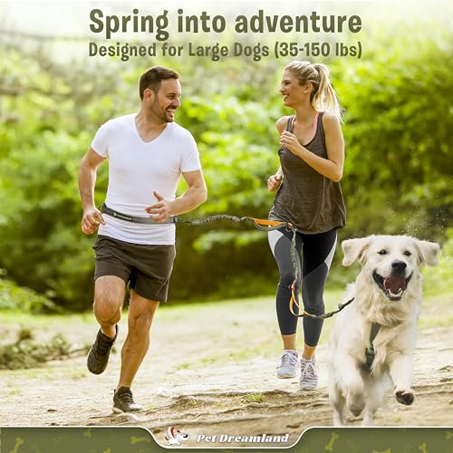Exquisite Hands Free Leash for Large Dogs. Ultimate Comfort & Freedom for Running (Khaki & Orange)
