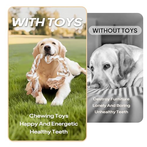 Dog Rope Toys for Large (3 Knots)
