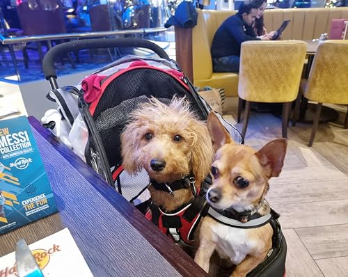 Escort 3 Wheel Dog Cat Pet Stroller for Small (Black/red / 33x37 Inch (Pack of 1))