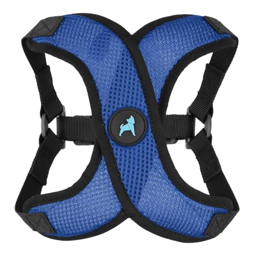 Comfort X Step (Large (19-22") / Blue)