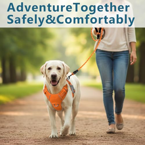 No Pull Dog Harness for Medium Sized Dogs (Medium(Chest:22.5-28") / Orange)