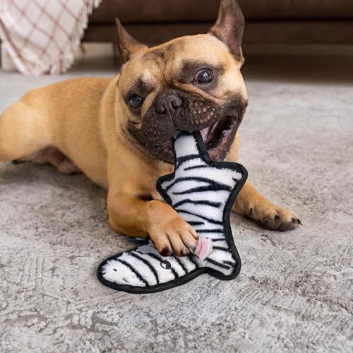 No Stuffing Dog Toys Crinkle Squeaky (2 Pack / Small)