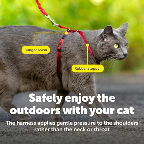 Come With Me Kitty Harness and Bungee Leash (Medium (Pack of 1) / Red)