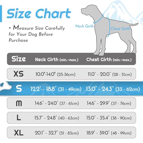 Dog Harness for Small Dogs (Small / Pink & Sky Blue)