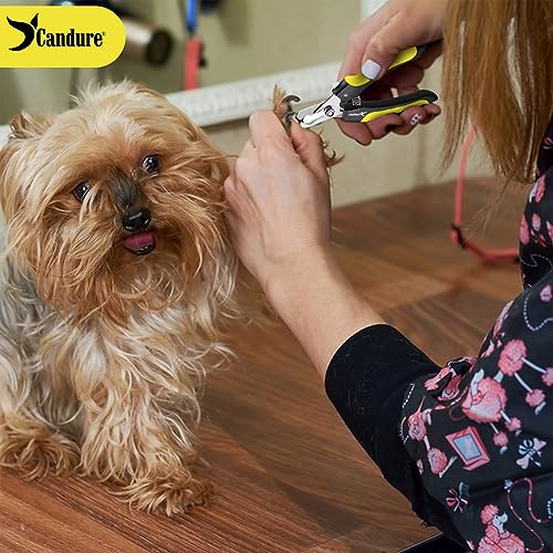 Dog Nail Clippers for Pet Grooming (Yellow / 6 Inch)