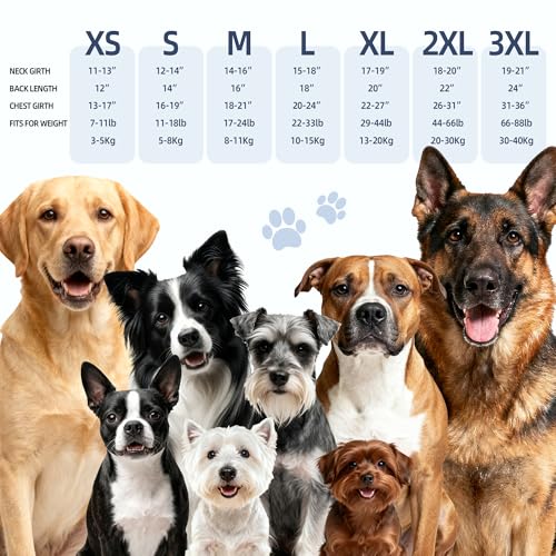 Dog Anxiety Vest (Blue / M)