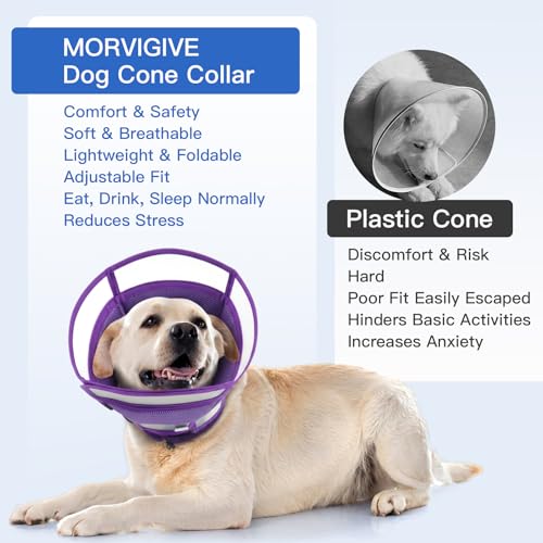 Dog Cone Alternative for Small Dogs to Stop Licking (Purple / Medium)