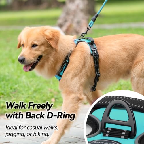No Pull Dog Harness Small with Front Clip & Neck Release Buckle (XS / Mint Blue)