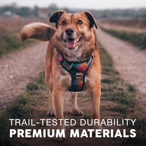 Embark No Pull Dog Harness (XS / Aurora)
