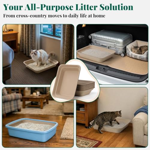 10 Pack Disposable Litter Box for Kitty Cats