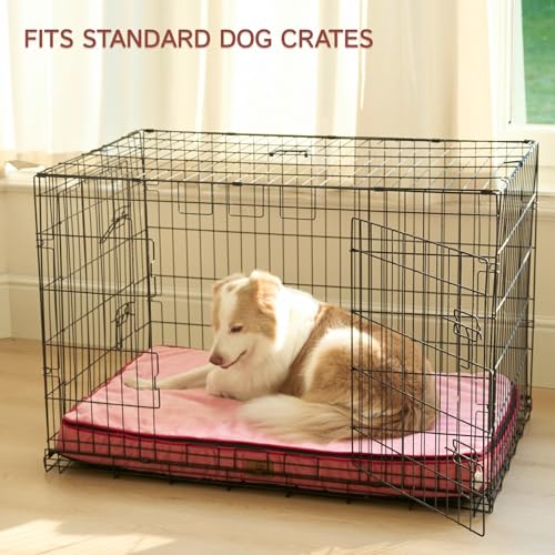 Memory Foam XL Dog Bed (41.0"L x 27.0"W x 4.0"Th / Pink)