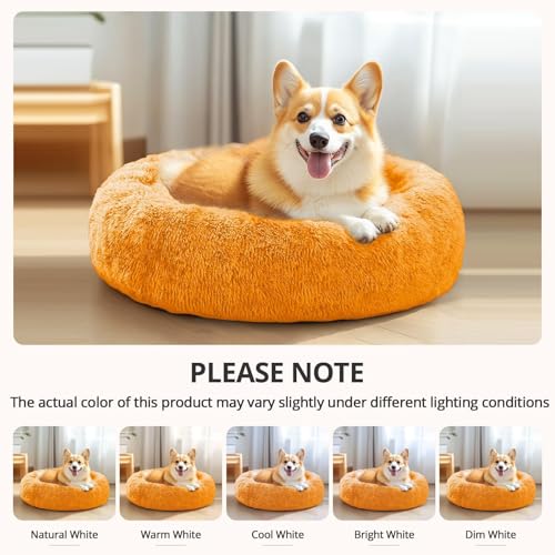 Calming Dog Bed Medium Size Dog (Orange / 31.0"L x 31.0"W x 8.0"Th)