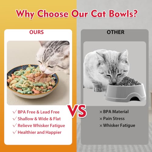 Ceramic Cat Bowls Set of 6 (Floral - No Pads)