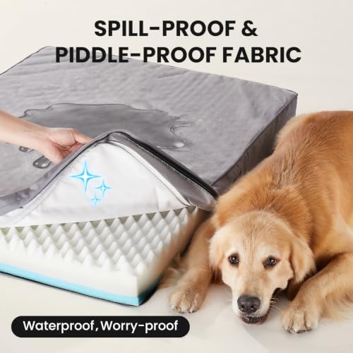 Orthopedic Waterproof Large Dog Bed (44" x 32" x 4" (For Sprawling) / 01-Gray)