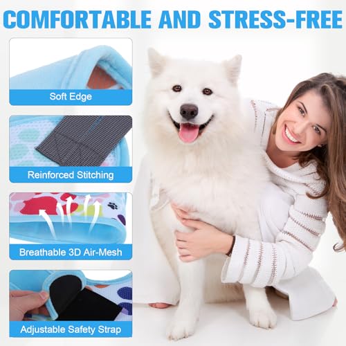 Dog Grooming Hammock Harness for Dogs & Cats with Pet Nail Clipper Trimmer (M / Blue)