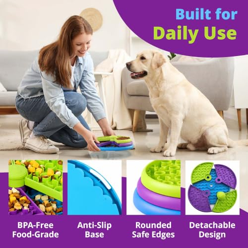 Slow Feeder Maze Dog Bowl