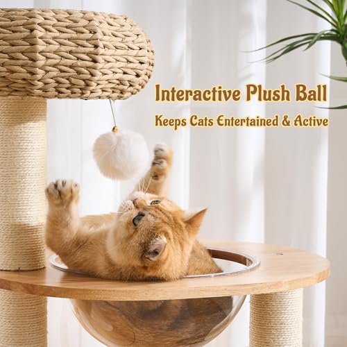 Modern Cat Tree for Indoor Small & Medium Cats (Natural w/ Capsule-38")
