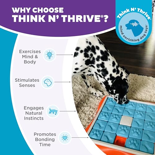 Nina Ottosson Challenge Slider Dog Toy Treat Puzzle (Challenge Slider (Orange, Blue) / 1 Count (Pack of 1))