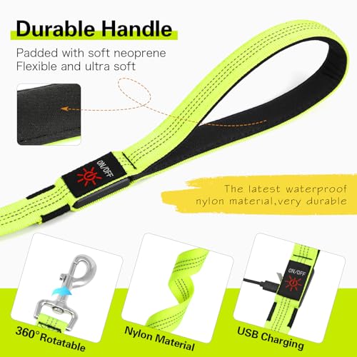 Light Up Dog Leash (Green)