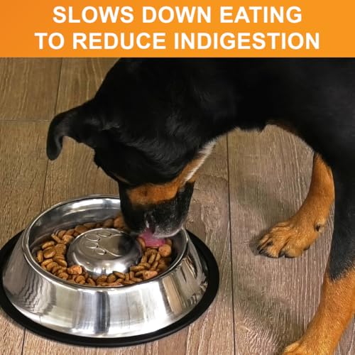 Stainless Steel Slow Feed Bowl (3 Cup - Non Tip)