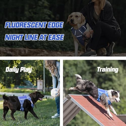 Tactical Dog Harness Medium Sized Dog No Pull Adjustable Dog Vest (Tribal Patterns-Blue / M(Neck:16-22",Chest:22-33"),35-50 lbs)