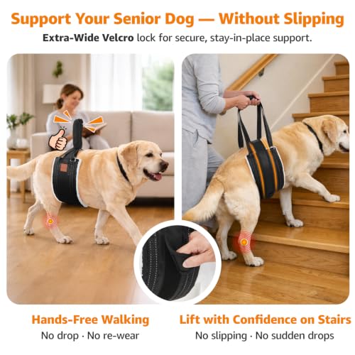 Adjustable Dog Sling for Large Dogs Hind Leg Support ACL Recovery (Medium)
