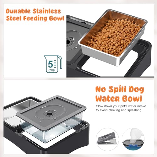 2-in-1 Elevated Dog Bowls with 4 Height Adjustable Raised Stand (2-in-1 Light Black)