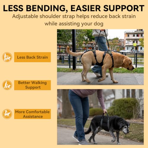 Dog Lift Harness for Senior Dogs (L)