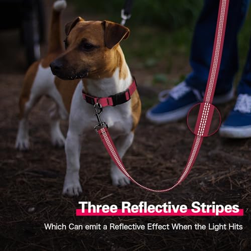 Light Up Dog Leash (Pink)