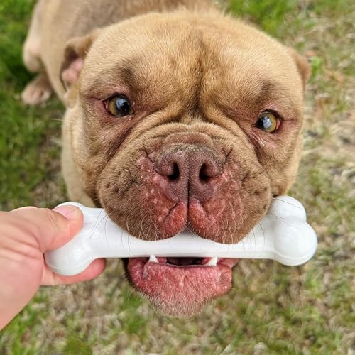 Power Chew Original Bone Dog Chew Toy (Small)
