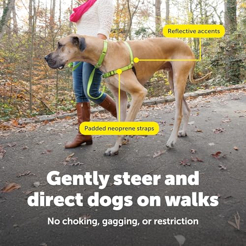 Easy Walk Deluxe Dog Harness (Large / Apple Green)