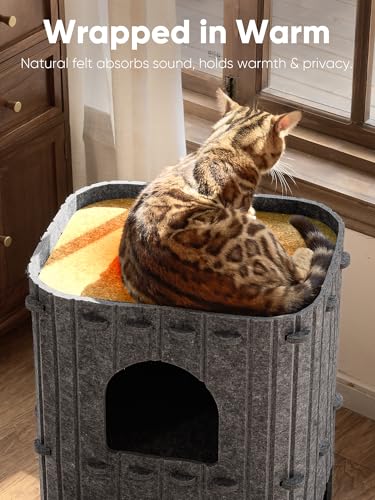 Cat House for Indoor Cats