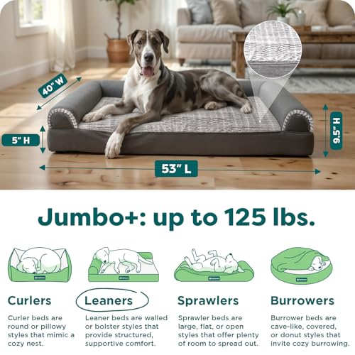Orthopedic Dog Bed For Large Dogs (Jumbo Plus / Charcoal)