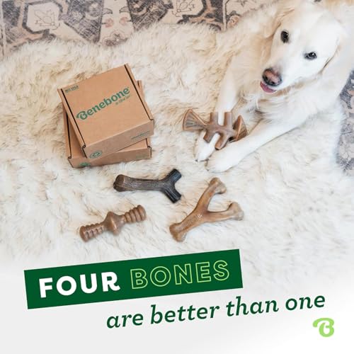 Medium 4 Pack Dog Toys for Aggressive Chewers (Medium / 4 Pack)